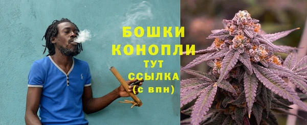 СК Шали