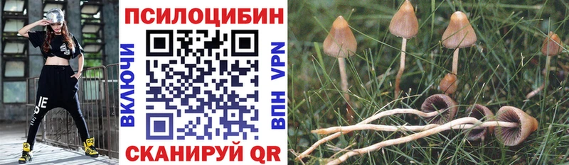 Псилоцибиновые грибы MAGIC MUSHROOMS  Великий Новгород 